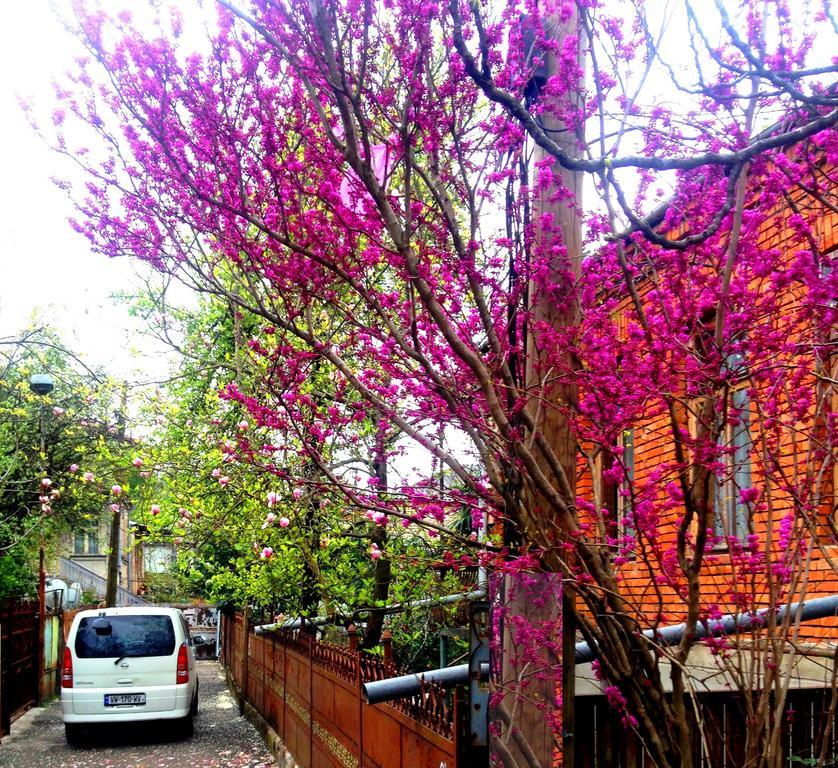 Colibri Home Kutaissi Exterior foto